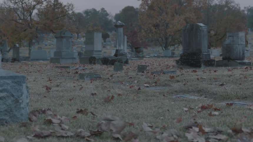 Leaves blow across a cemetery
