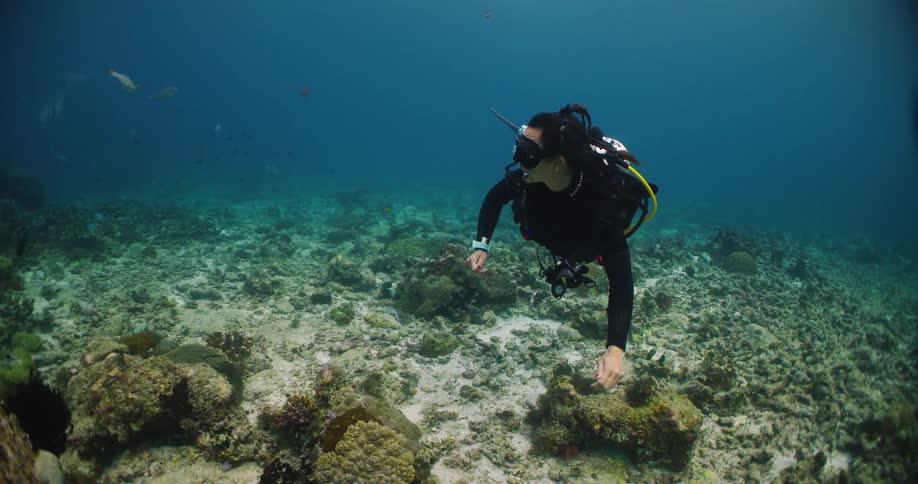 Scuba diver swims just over seafloor