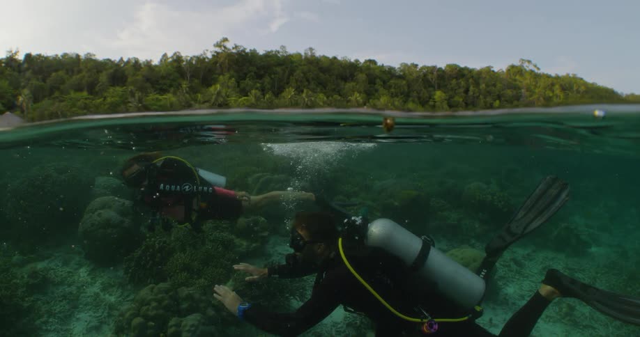Scuba divers swim in shallow water near town
