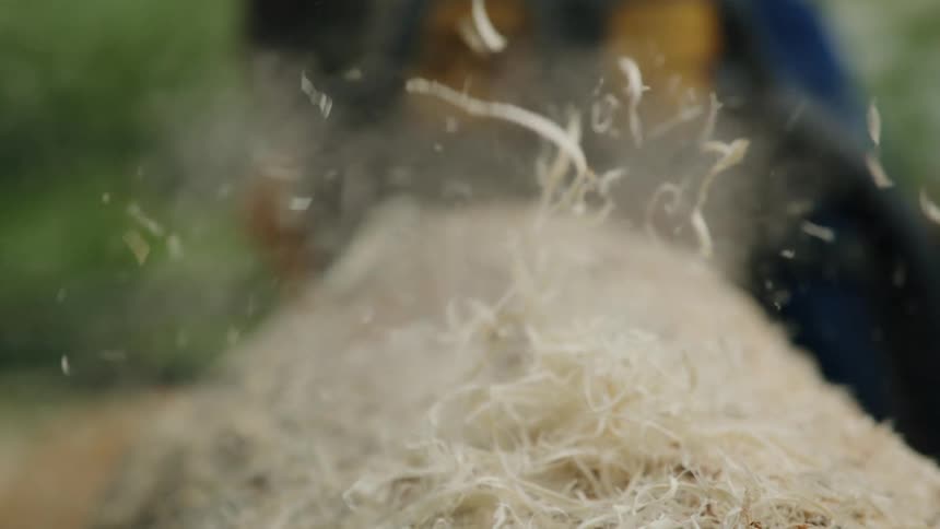 Dynamic Woodcutting: Chainsaw in Action
