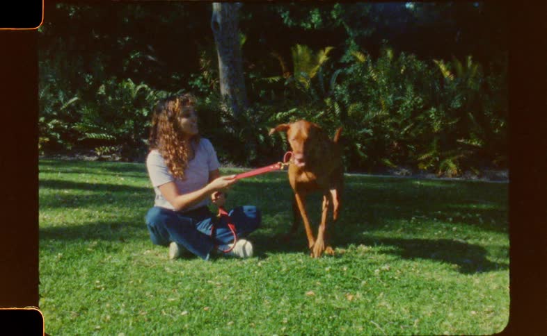 A young kid is sitting on the grass and playing with a dog