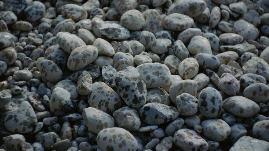 Transforming Rain: Dry Rocks Awash as Rainwater Revives