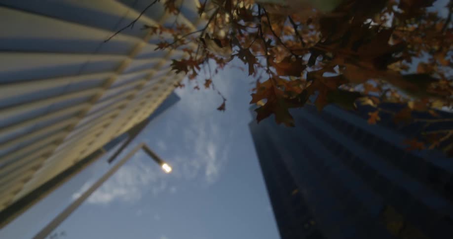 Buildings are standing tall in the downtown city
