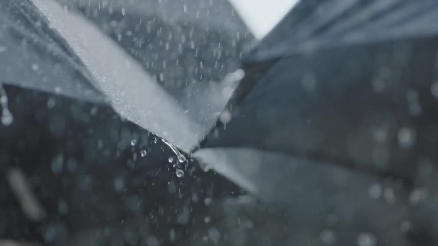 Rain falls on black umbrellas