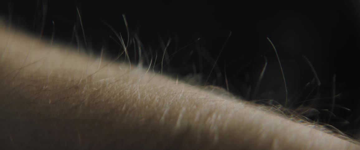 Extreme close up of static electricity making the hairs on the arm of a person rise up
