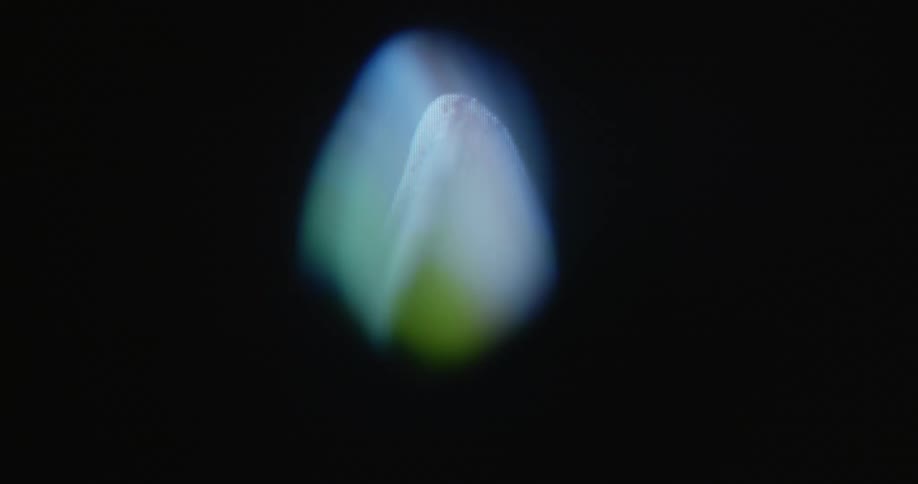Close up of digitized avocado spinning with black background on flickering retro computer screen
