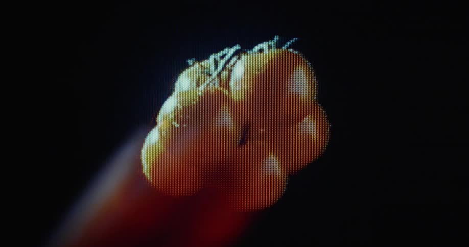 Close up of digitized bunch of fresh tomatoes spinning with black background on flickering retro computer screen