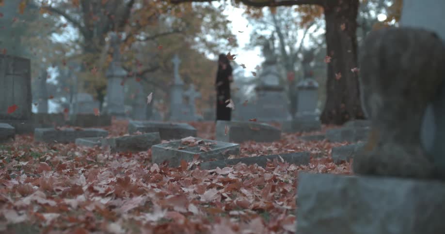 Leaves fall on gravestones