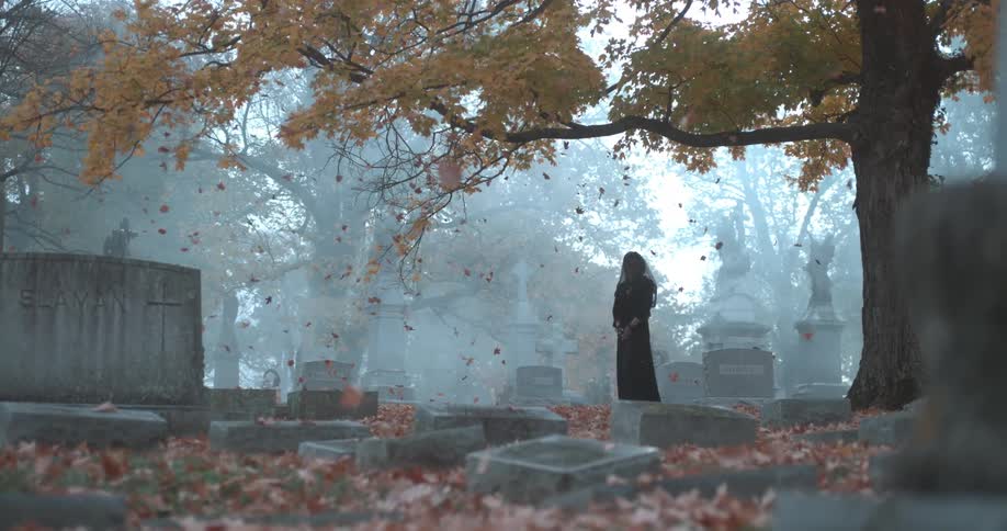 A woman dressed in black stands in a cemetery