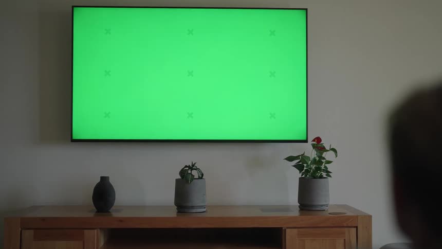 A man with his back to the camera is pointing at a television set mounted on the wall above a piece of furniture on which there are two potted plants and a small vase
