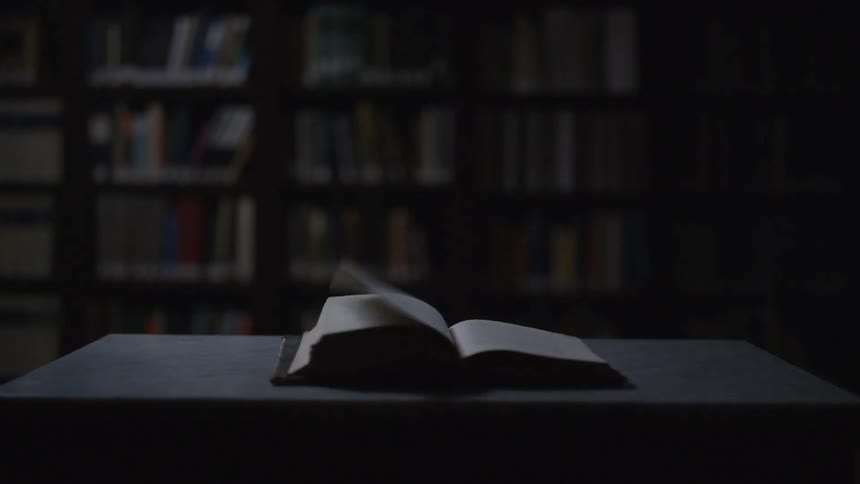 A books pages flip rapidly