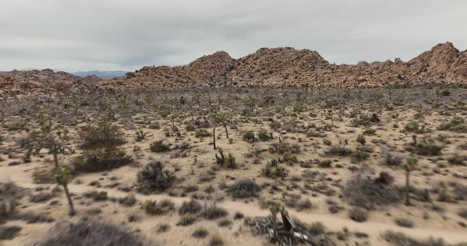 Aerial view of a mountain range trees and flat land in a desert