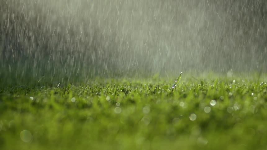 Close up of rain falling over a field of bright green grass at daytime