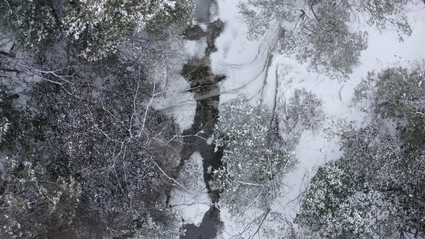 River winds through snowy ground in frost crusted woods