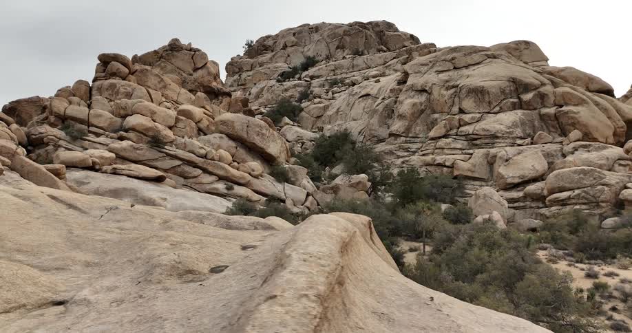 A rocky canyon with trees growing throughout