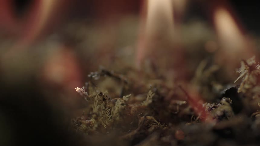 Fire starts to burn some grass