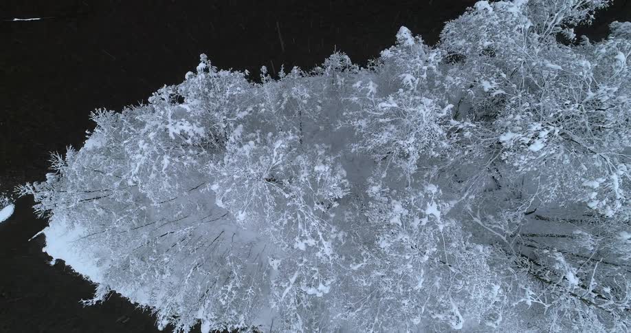 Aerial of snow covered trees on isolated land in the sea
