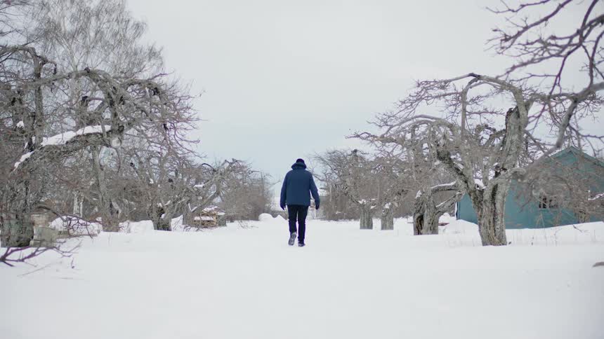 A person in a blue coat walking in the snow touching a branch on a tree
