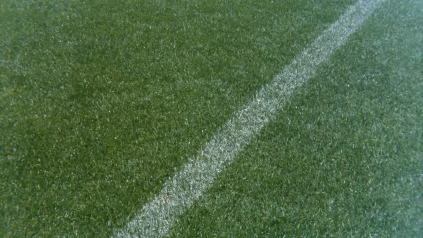 A green turf field with a white stripe on the turf