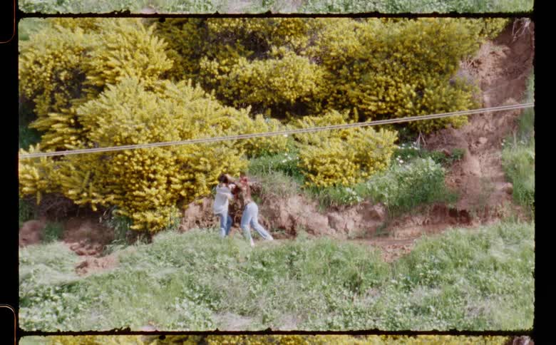 Two women dancing and moving in front of yellow vegetation