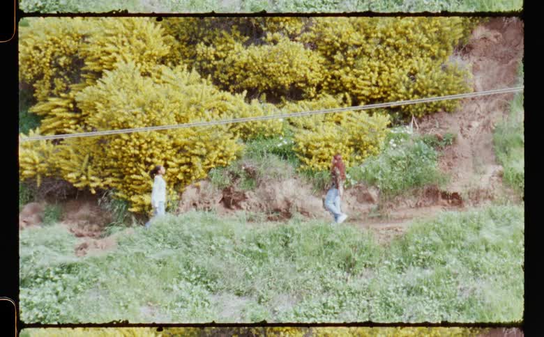 Two teenage girls meet on a path in the forest on a sunny day and start dancing together in slow motion