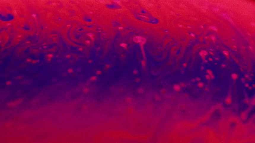 A purple and red organic liquid substance mixes and blends as particles move across the surface