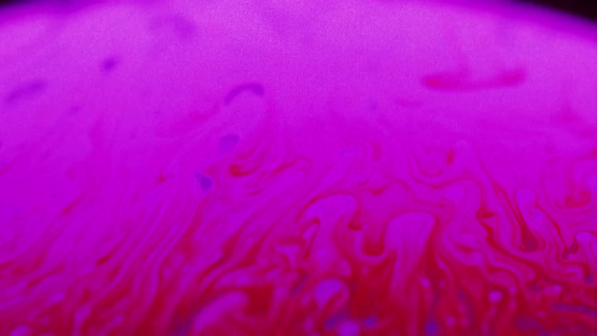 A hot pink and red organic liquid substance moves and blends across the surface as purple moves in from below