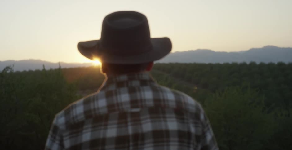 A man is watching the sun set outdoors in spring