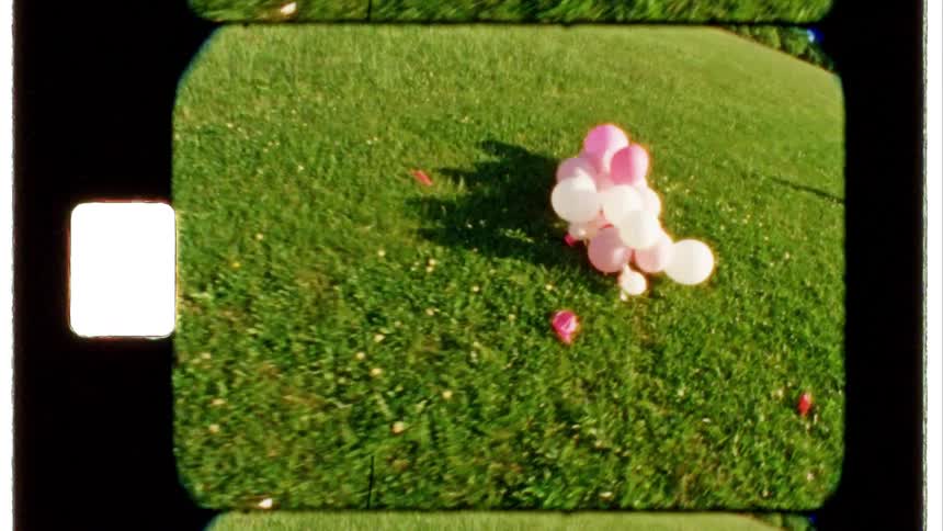 A bunch of pink and red balloons tied together are rolling across the grass as a person walks nearby and a dog is walking in the distance
