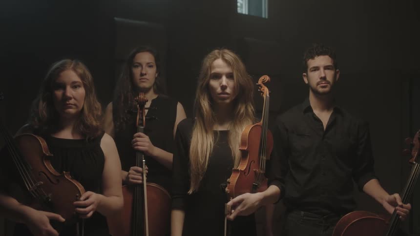 Musicians holding string instruments are standing