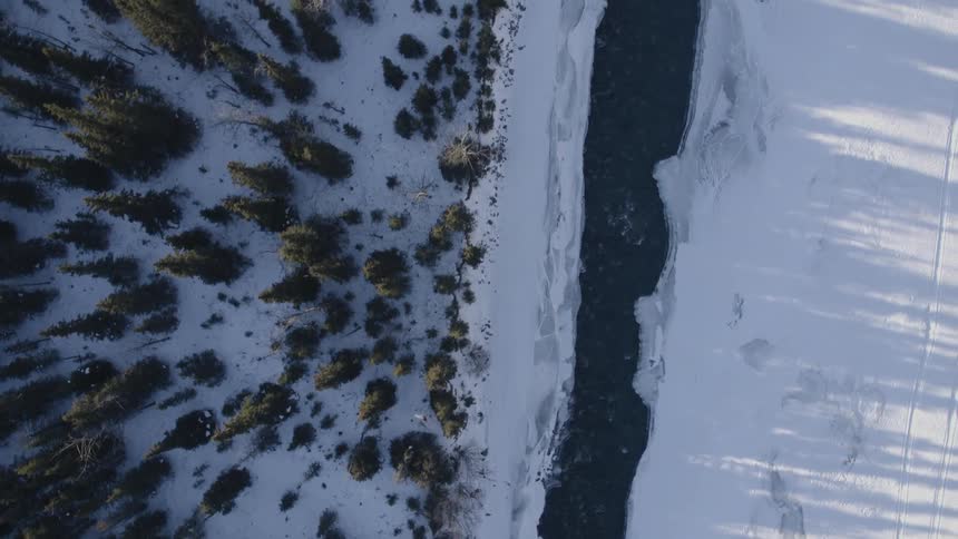A snow covered forest lines this stream