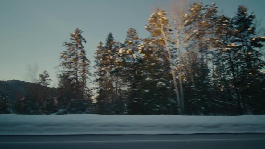 Car drives along road bordering forest and snow covered mountains