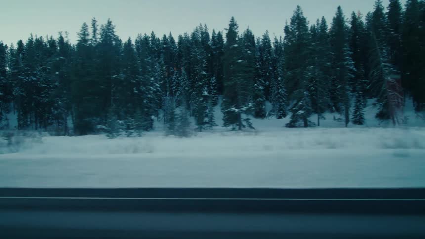 Traveling on a rural highway with a snow covered forest on the roadside