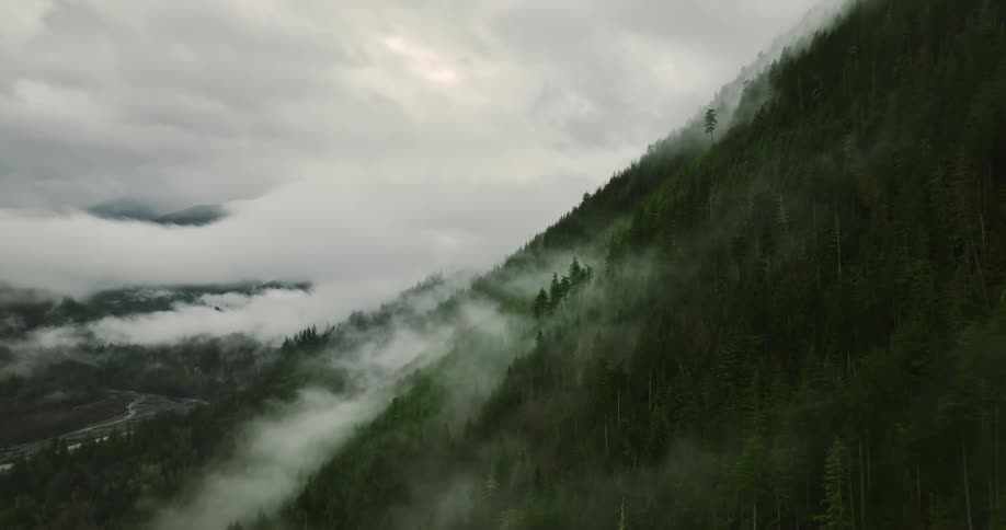 Fog lies over forest covered mountain and nearby valley under an overcast sky