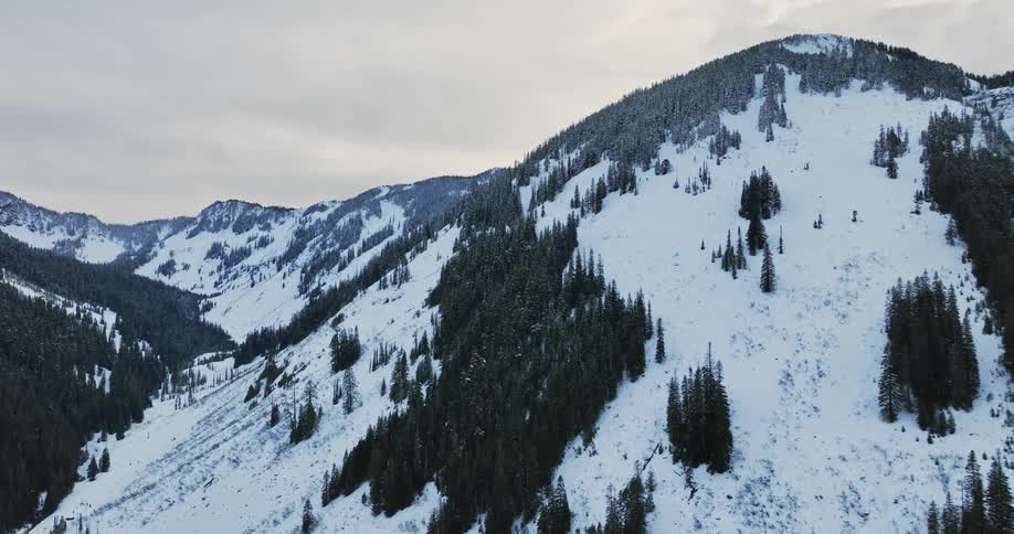 A mountain slope covered in snow and evergreen tree under a cloudy daytime sky