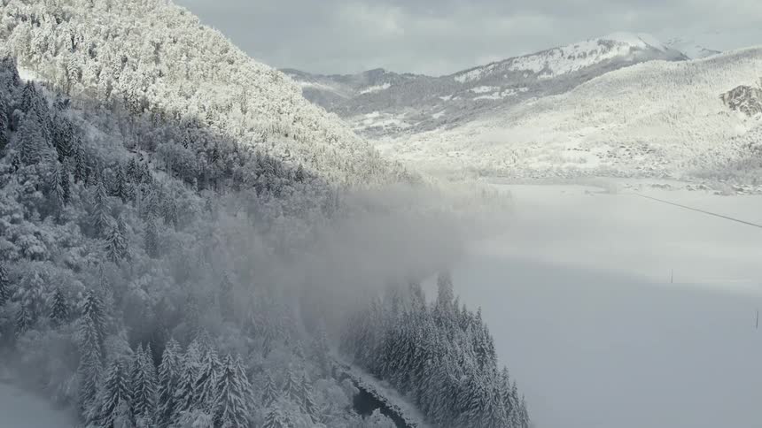 A snowy mountainside covered in pine trees in winter