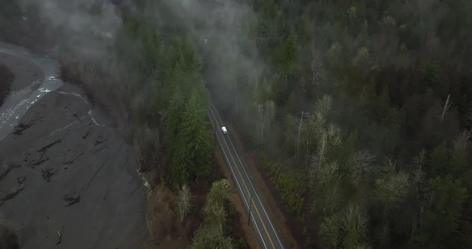 The car drives on a highway through the woods