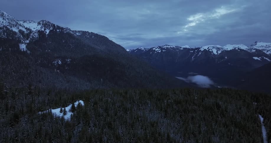 A sprawling forest is located next to a snow capped mountain range