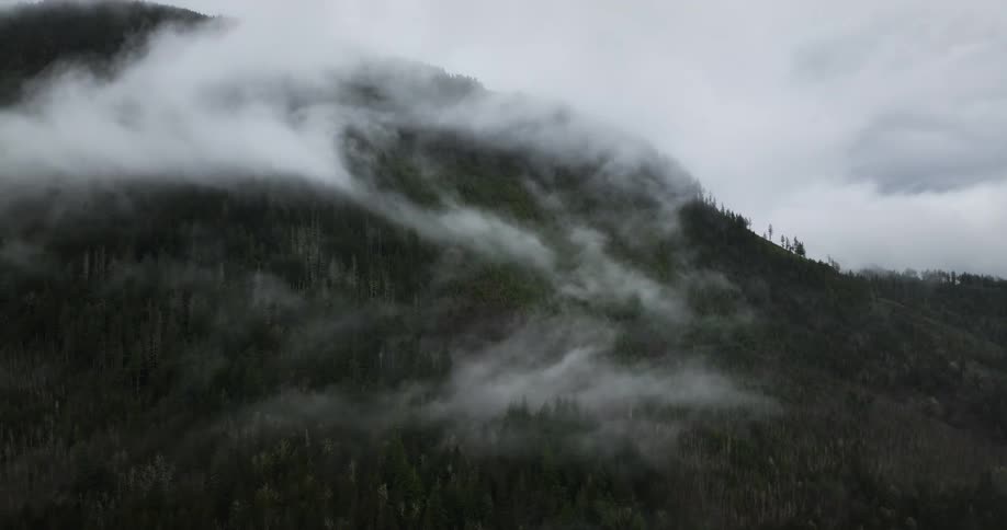 Fog is covering the mountainous landscape