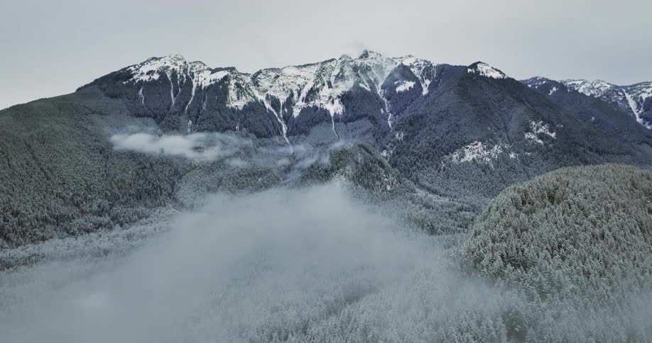 Aerial view of snowy mountain range and big forest under clouds