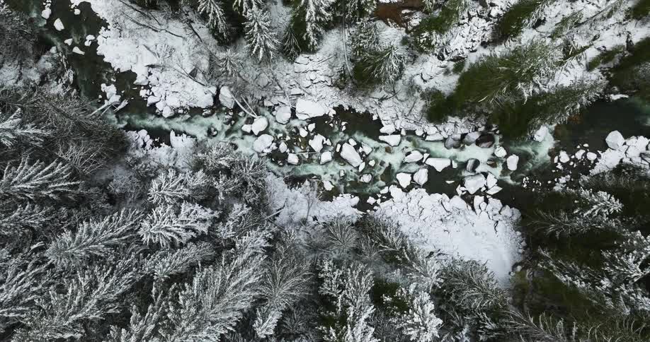 Birds eye view of a forest landscape during winter