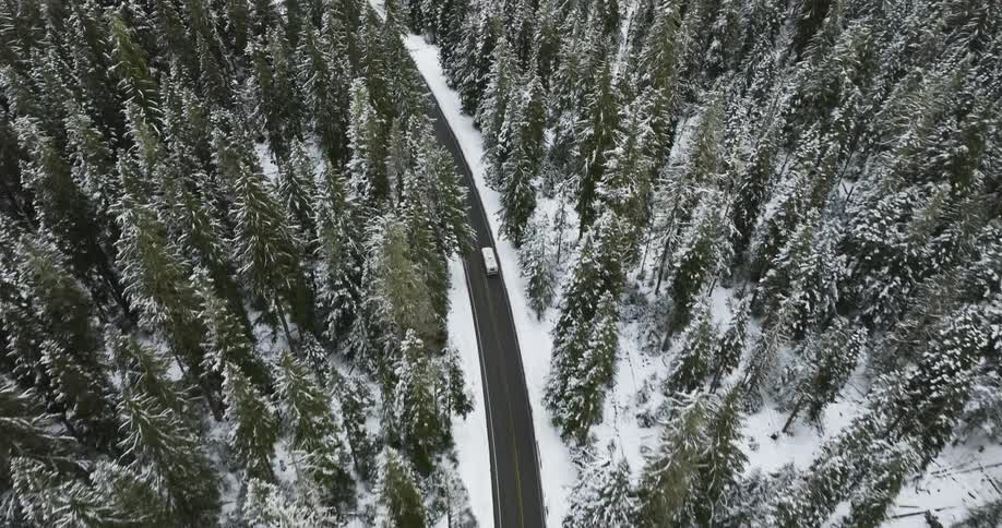 A motor home drives along a road through a snow dusted forest