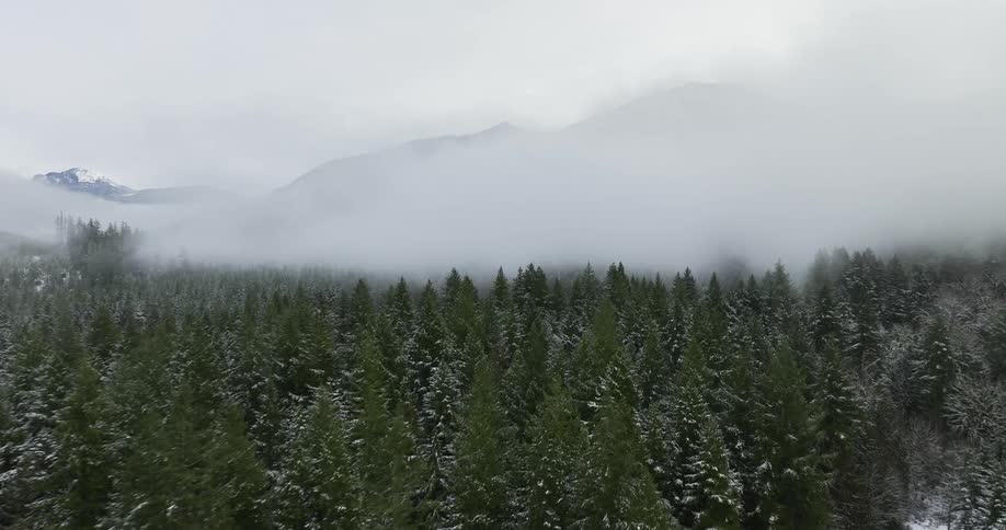 Winter flight over a forested area towards a mountain surrounded by clouds