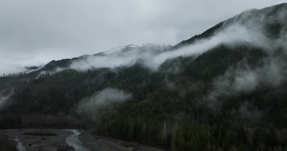 Aerial view of coniferous forest on a cloudy day