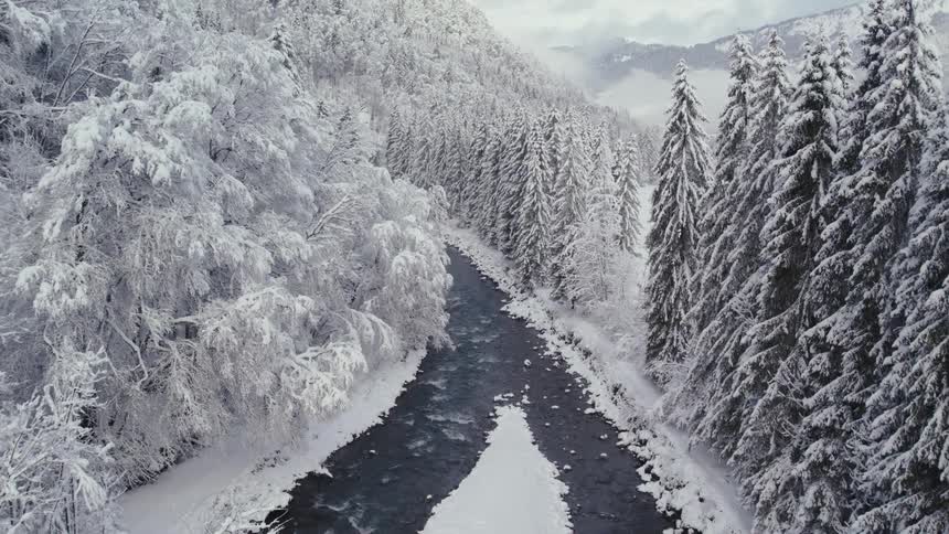 The stream runs through the snow covered forests