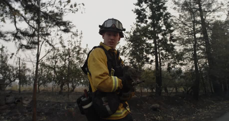 A firefighter carrying a cat out of a forest walking across a road