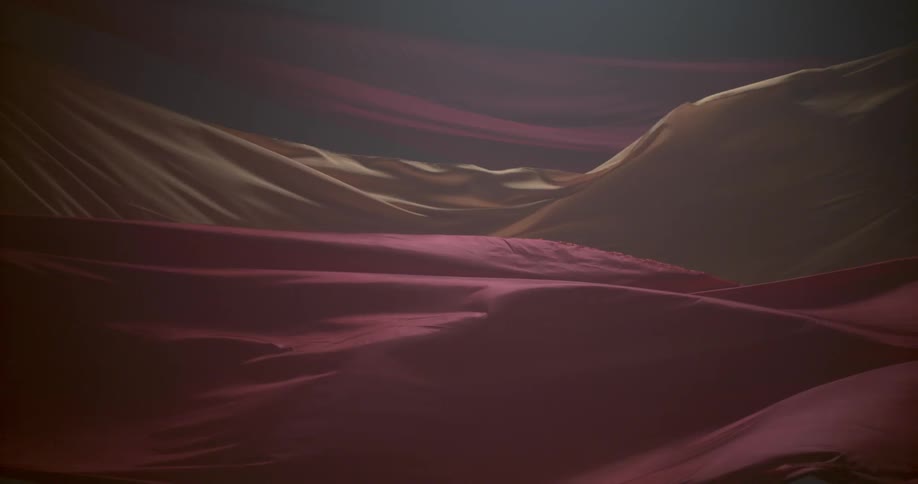 Silk Studio Dancer