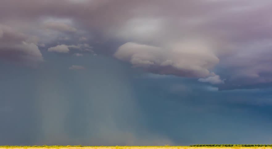 A wide landscape of yellow plain field with stormy clouds forming in the distance