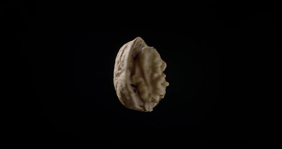 Super food walnut with half shell spinning around in front of black background with cinematic lighting