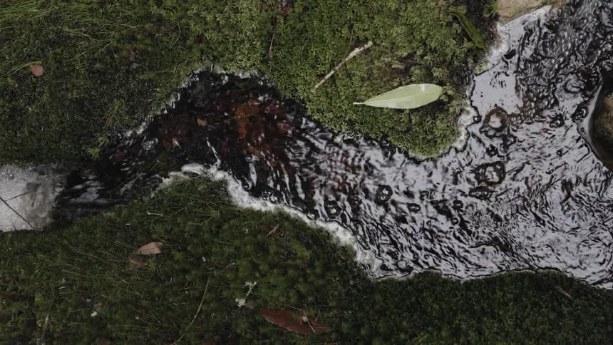 Water flows down a forked stream
